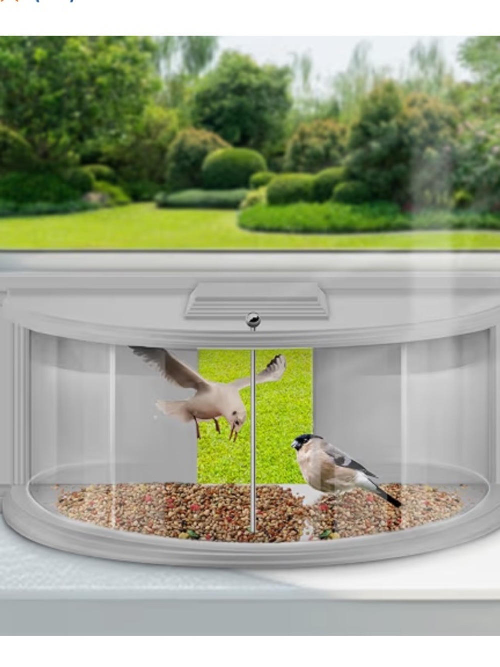 180° Indoor Window Bird Feeder Adjustable 27–38” Insert Bird Watching Feeder |